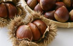 BLUE MOON cafe　花奈(かな)エロぽちゃ