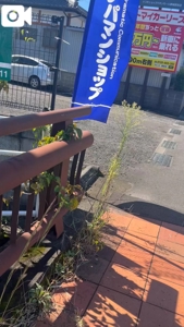 宮崎ちゃんこ都城店　こはる