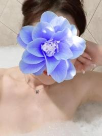 待ちナビ　ゆうか