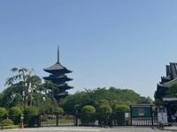 待ちナビ　しょう