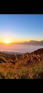 待ちナビ　しょう