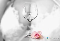 鶴富屋敷　ヒナ、(癒しの女王)