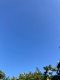 待ちナビ　ひろか