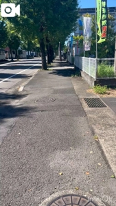 宮崎ちゃんこ都城店　こはる