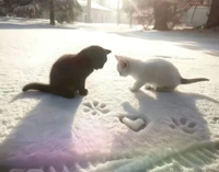 フェアリー【鹿児島店】(鹿児島市) りりこ【綺麗すぎる未経験美女】