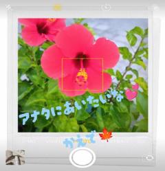 MANIN-ONREIマン淫御礼　楓（かえで）スレンダー美魔女