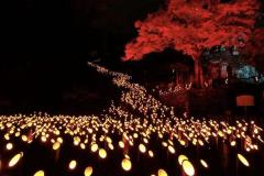 人妻24時　しずく