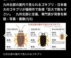 CLUB LUMINE　Haru【ハル】