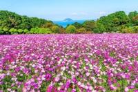 待ちナビ　しょう