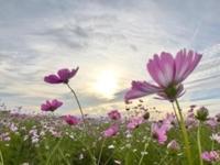 待ちナビ　きょうこ