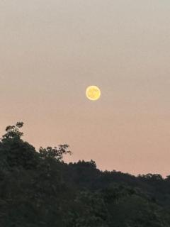 clubATOM　しずく【ミセスコース】