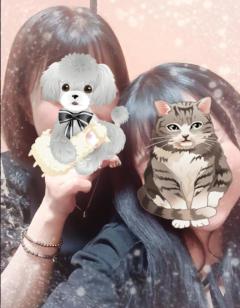 Madam  Cherish　ほずみ