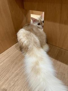 INFINITY沖縄　アン【㊙対応キャスト】