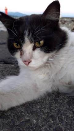 鹿児島天文館デリヘルLOVEVE～ラヴィーヴ～　りと☆聖水黄金AF対応Lカップ☆