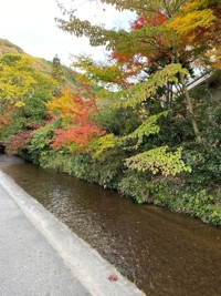 待ちナビ 福岡市デリヘル まお 写メ日記「Y様」