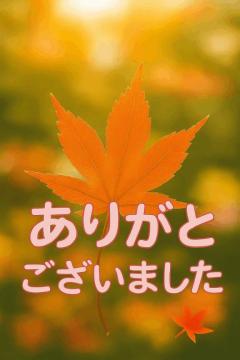 爆安＜元祖＞どすこい倶楽部　★かえで★宮崎