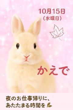 爆安＜元祖＞どすこい倶楽部　★かえで★宮崎