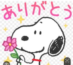 CLUB LUMINE　Haru【ハル】