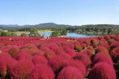 一夜の愛人　もか