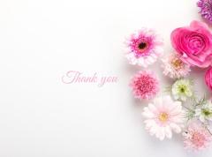  麗恋【れんか】