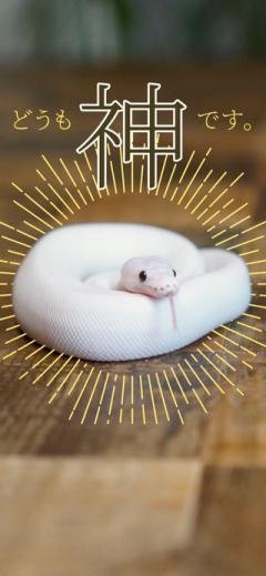 ぷにっ娘　美衣ﾐｲ