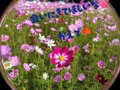 MANIN-ONREIマン淫御礼　楓（かえで）スレンダー美魔女