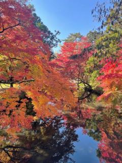 JaPON　元子　良い値コース