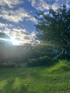 キャンディ　ラナ