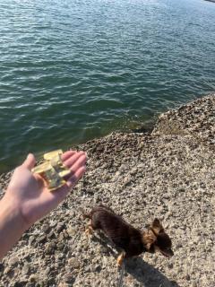 CLUB LUMINE　Haru【ハル】