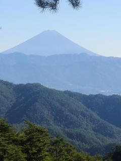 BLUE MOON cafe　愛月(えれな)可憐なエロ姫