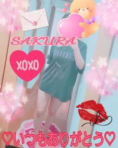  サクラSakura