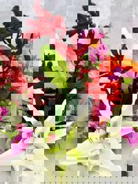 大人の遊園痴「スピーディー」　りつ（敏感で癒し系）