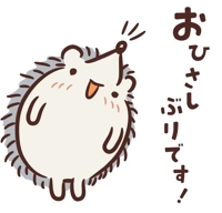 おひさしぶりですっ