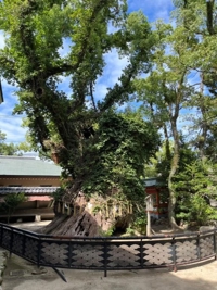 待ちナビ　あゆみ