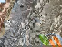 harmonyハーモニー　みなみ(minami)