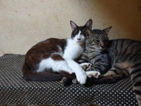 待ちナビ　ちい