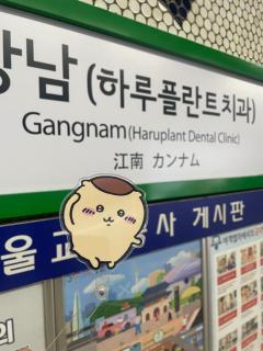 Roots(ルーツ)　かおる