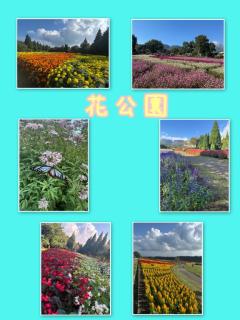 JaPON　環菜ｶﾝﾅ