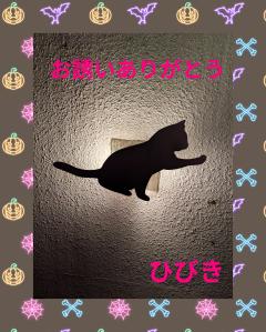 ご主人様いらっしゃい 大分店 ひびき♡電マ大好き