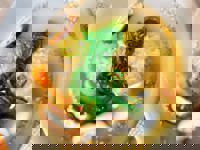 大人の遊園痴「スピーディー」　りつ（敏感で癒し系）