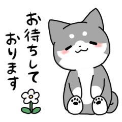 CLUB LUMINE　niko【にこ】