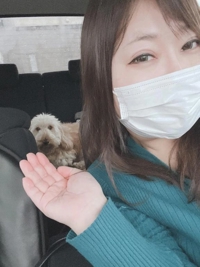 TheGrandPhoenix　みつ※ド変態嬢電撃復帰