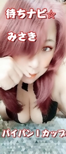 待ちナビ　みさき