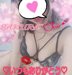 MICHELIN ミシュラン　サクラSakura