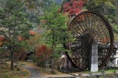 一夜の愛人　もか