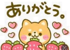 CLUB LUMINE　Haru【ハル】