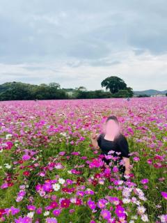 JaPON　元子　良い値コース