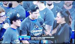 高級女性用風俗・性感エステLOVE愛撫(らぶあいぶ)　♂流星☆RYUSEI