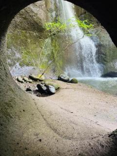 JaPON　元子　良い値コース