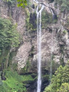 JaPON